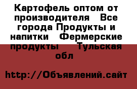 Картофель оптом от производителя - Все города Продукты и напитки » Фермерские продукты   . Тульская обл.